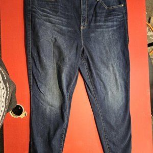 Torrid Sky High Skinny Premium Stretch High-Rise Jean  size 24R Please Read